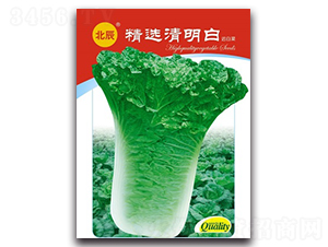 ���x������-�t�ײ˷N��-�����N�I(y��)