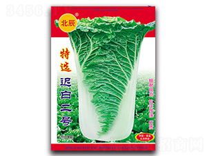 ���x�t�׶�̖-�t�ײ˷N��-�����N�I(y��)