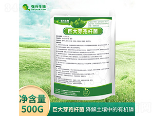 �޴�ѿ�ߗU��-���d����