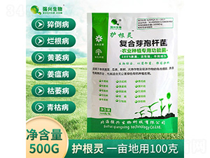 �ͺ�ѿ�ߗU��-�o���`-���d����