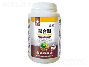 �����������-ʢ�a-�Ʒ����