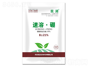 ���ܡ���-�Ʒ����