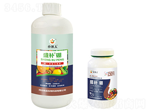 ƿ�bʢ�a��-С����-�Ʒ����