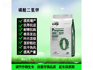 ��������-������