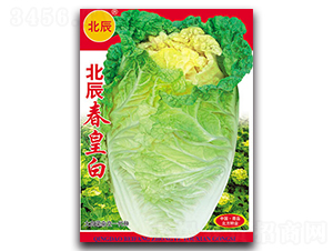 �������ʰ�-��ײ˷N��-�����N�I(y��)