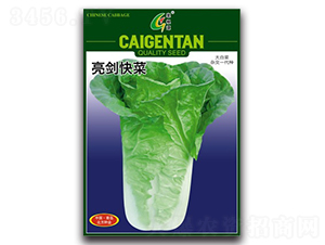 �������-��˷N��-�����N�I(y��)