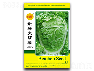 �۾G��偲�-��ײ˷N��-�����N�I(y��)