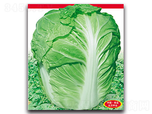 ����������-��ײ˷N��-�����N�I(y��)