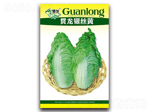 ؞���y�z�S-��ײ˷N��-�����N�I(y��)