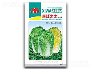 ϲ��̫̫-�ײ˷N��-�����N�I(y��)