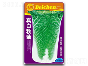 ������-��ײ˷N��-�����N�I(y��)