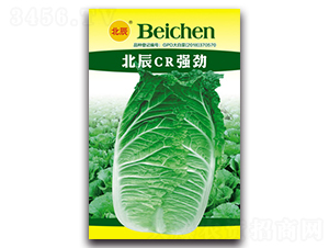 ����CR-��(qi��ng)��-��ײ˷N��-�����N�I(y��)