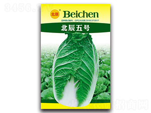 ������̖-��ײ˷N��-�����N�I(y��)