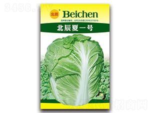 ������һ̖-��ײ˷N��-�����N�I(y��)