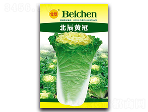 �����S��-��ײ˷N��-�����N�I(y��)