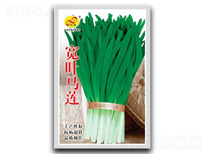 ���~�Rɏ-�²˷N��-��ɷN�I(y��)