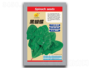 �ں���-���˷N��-��ɷN�I(y��)