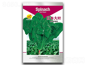 �ձ����~-���˷N��-��ɷN�I(y��)