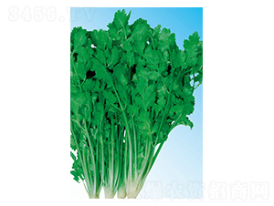 ��������-ܾݴ�N��-��ɷN�I(y��)