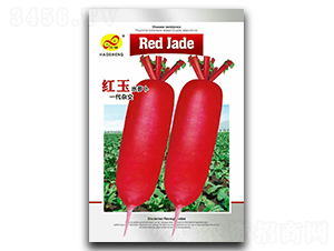 �t��-�}���N��-��ɷN�I(y��)