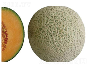 ���003-��ϷN��-�����r(n��ng)�I(y��)