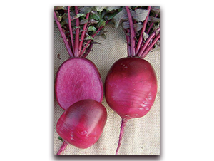 �ϵ�-�}���N��-�����r�I(y��)