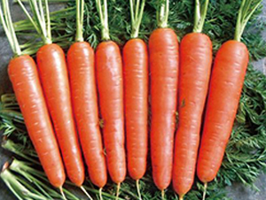 ̩ɽ��̖-���}���N��-�����r�I(y��)