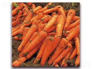 �tӳ��̖-���}���N��-�����r�I(y��)