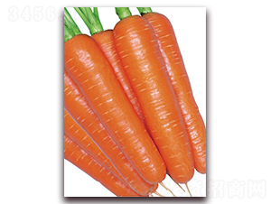 ���x���-���}���N��-�����r�I(y��)