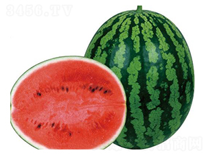 ȫ��8K-���ϷN��-�����r(n��ng)�I(y��)