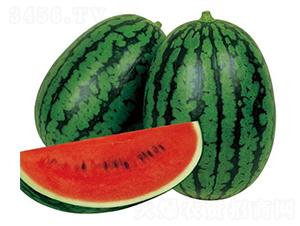 ȫ��2K-���ϷN��-�����r(n��ng)�I(y��)