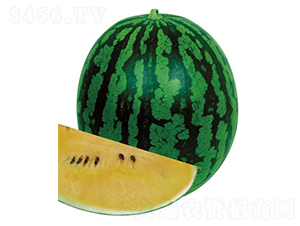 ����4000-���ϷN��-�����r(n��ng)�I(y��)