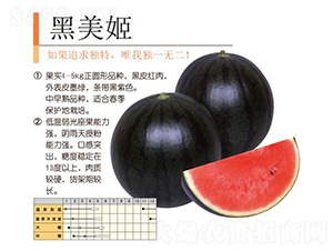 ������-���ϷN��-�����r(n��ng)�I(y��)