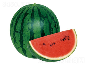 �ʘ�(l��)-���ϷN��-�����r(n��ng)�I(y��)