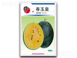 �����-���ϷN��-�����r(n��ng)�I(y��)