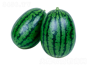 2K-���ϷN��-�����r�I(y��)