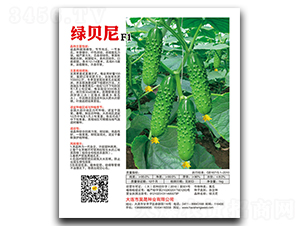 �Gؐ��F1-�S�ϷN��-��ɷN�I(y��)