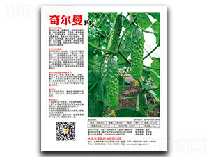 �栖��F1-�S�ϷN��-��ɷN�I(y��)