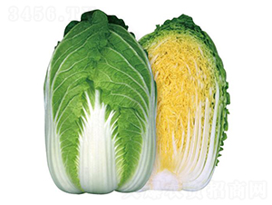 ه�S90-�ײ˷N��-�����r�I(y��)