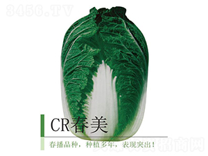 CR����-�ײ˷N��-�����r�I(y��)