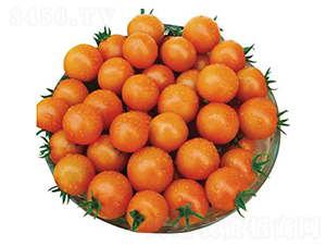 ����30-���ѷN��-�����r(n��ng)�I(y��)