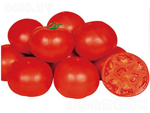 �t�۟o��-���ѷN��-�����r(n��ng)�I(y��)