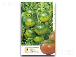 ���x101-���ѷN��-�����r(n��ng)�I(y��)