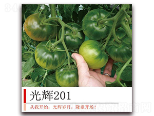 ���x201-���ѷN��-�����r(n��ng)�I(y��)