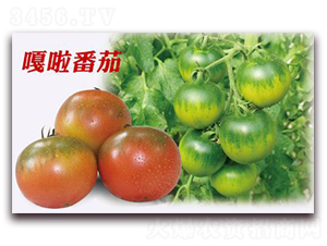 ��������-���ѷN��-�����r(n��ng)�I(y��)