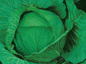 ������̖(h��o)-���{(l��n)�N��-�����r(n��ng)�I(y��)