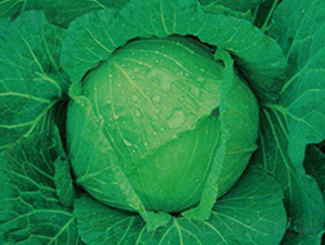 �������{(l��n)-���{(l��n)�N��-�����r(n��ng)�I(y��)