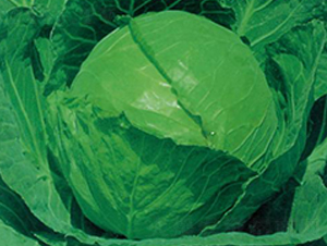 ����60-���{�N��-�����r(n��ng)�I(y��)