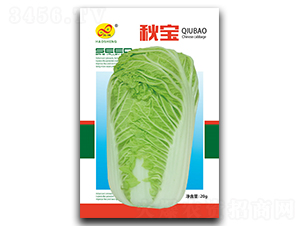 �-�ײ˷N��-��ɷN�I(y��)