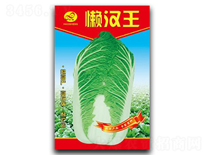 �Нh��-�ײ˷N��-��ɷN�I(y��)